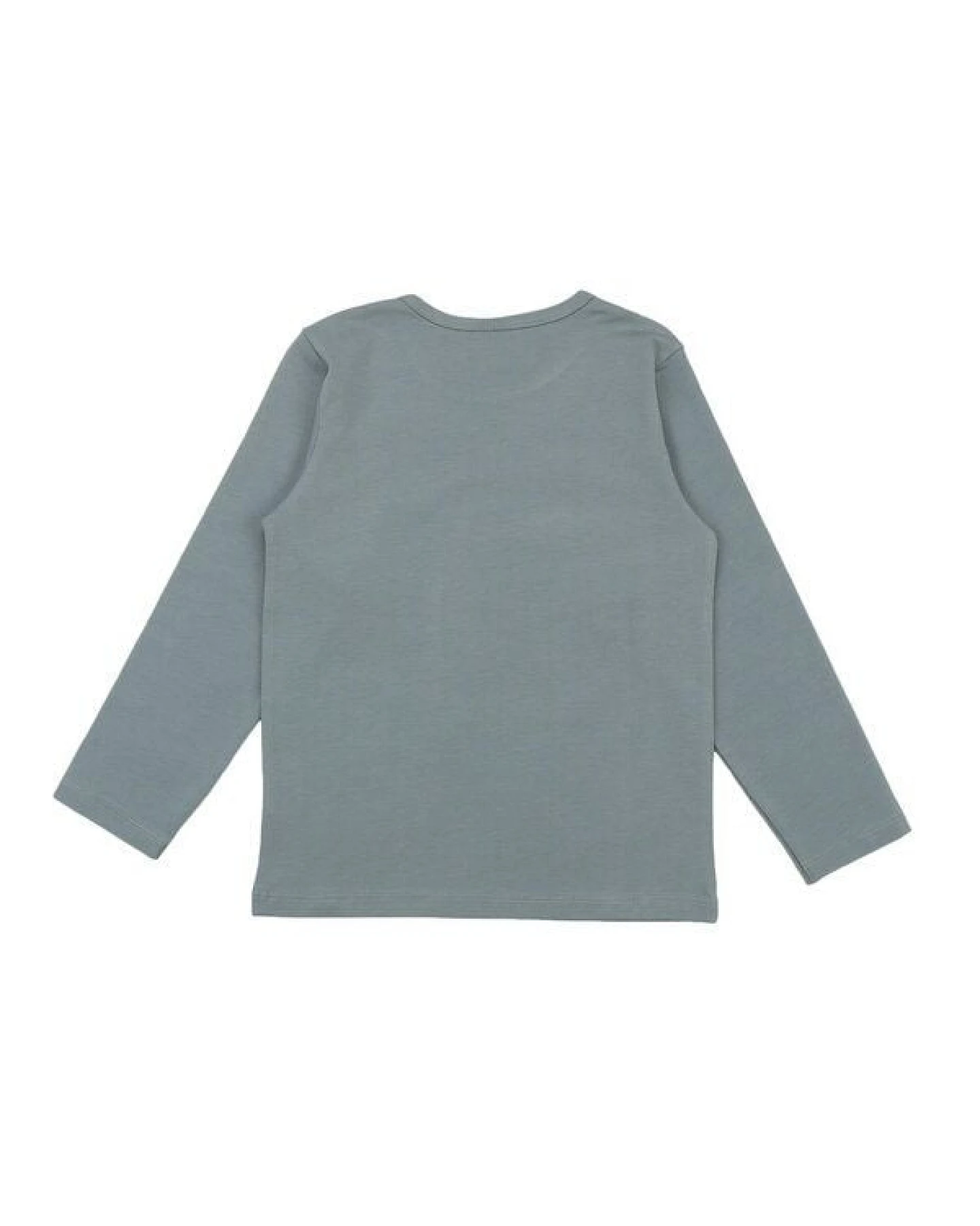 Kinder Langarmshirt GOTS zertifiziert Bio-Baumwolle, Graugrün, Waldmotiv, Walkiddy – Ansicht 3