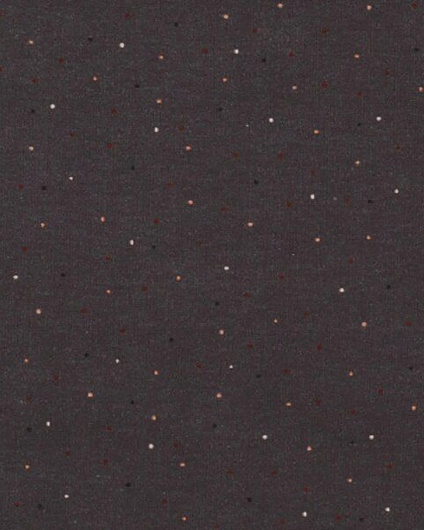 Mädchen Kleid GOTS-zertifiziert aus Bio-Baumwolle, grau mit bunten Punkten, Volantrock, langarm – Walkiddy – Ansicht 4
