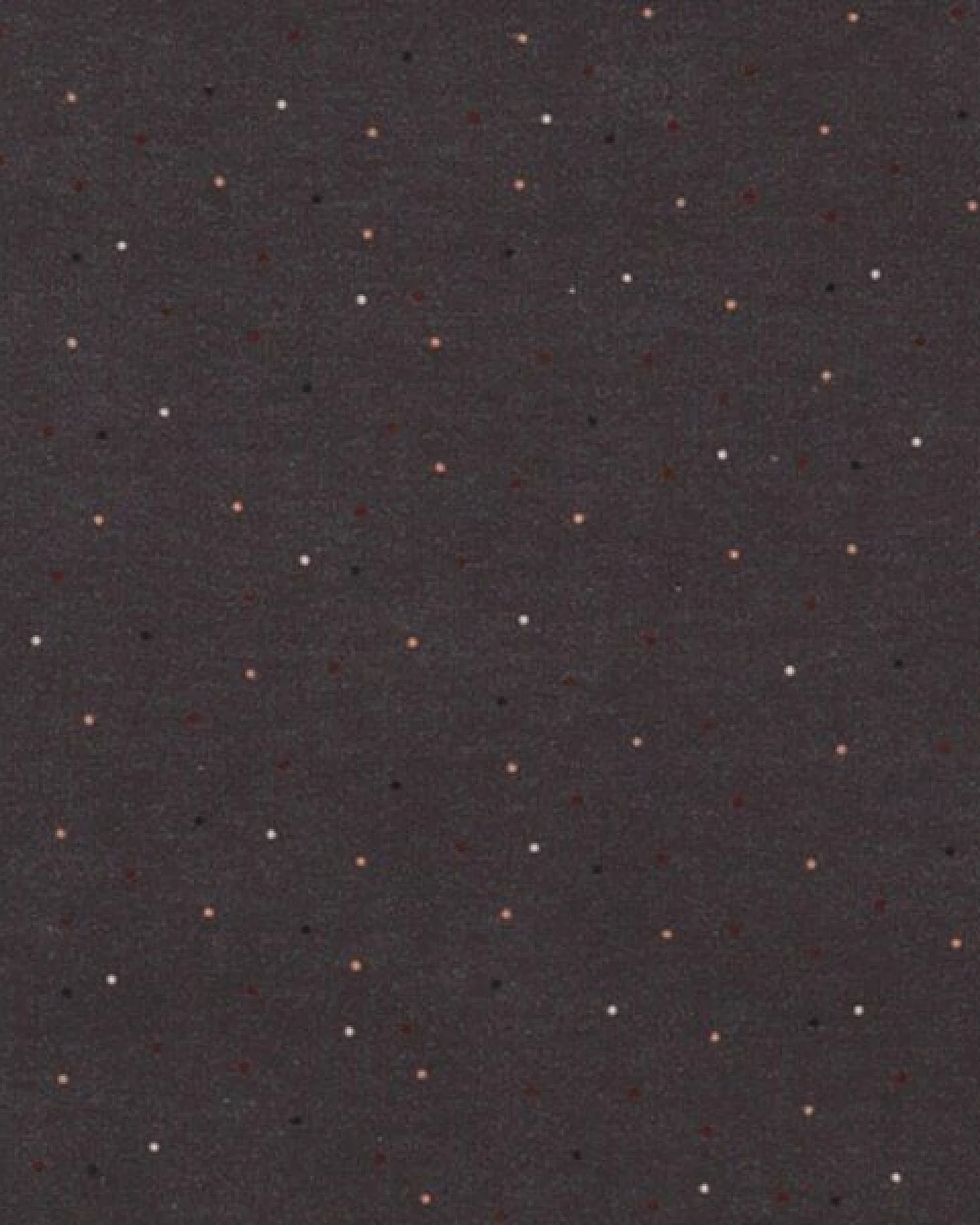 Mädchen Kleid GOTS-zertifiziert aus Bio-Baumwolle, grau mit bunten Punkten, Volantrock, langarm – Walkiddy – Ansicht 4