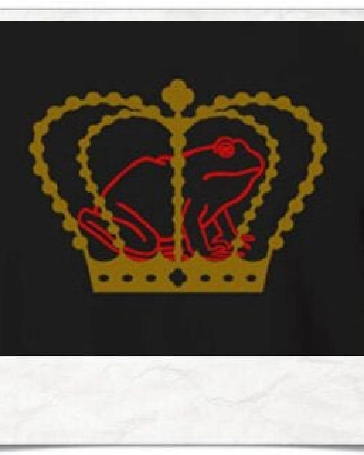 Picopoc Der Froschkönig T-Shirt in schwarz – Ansicht 2