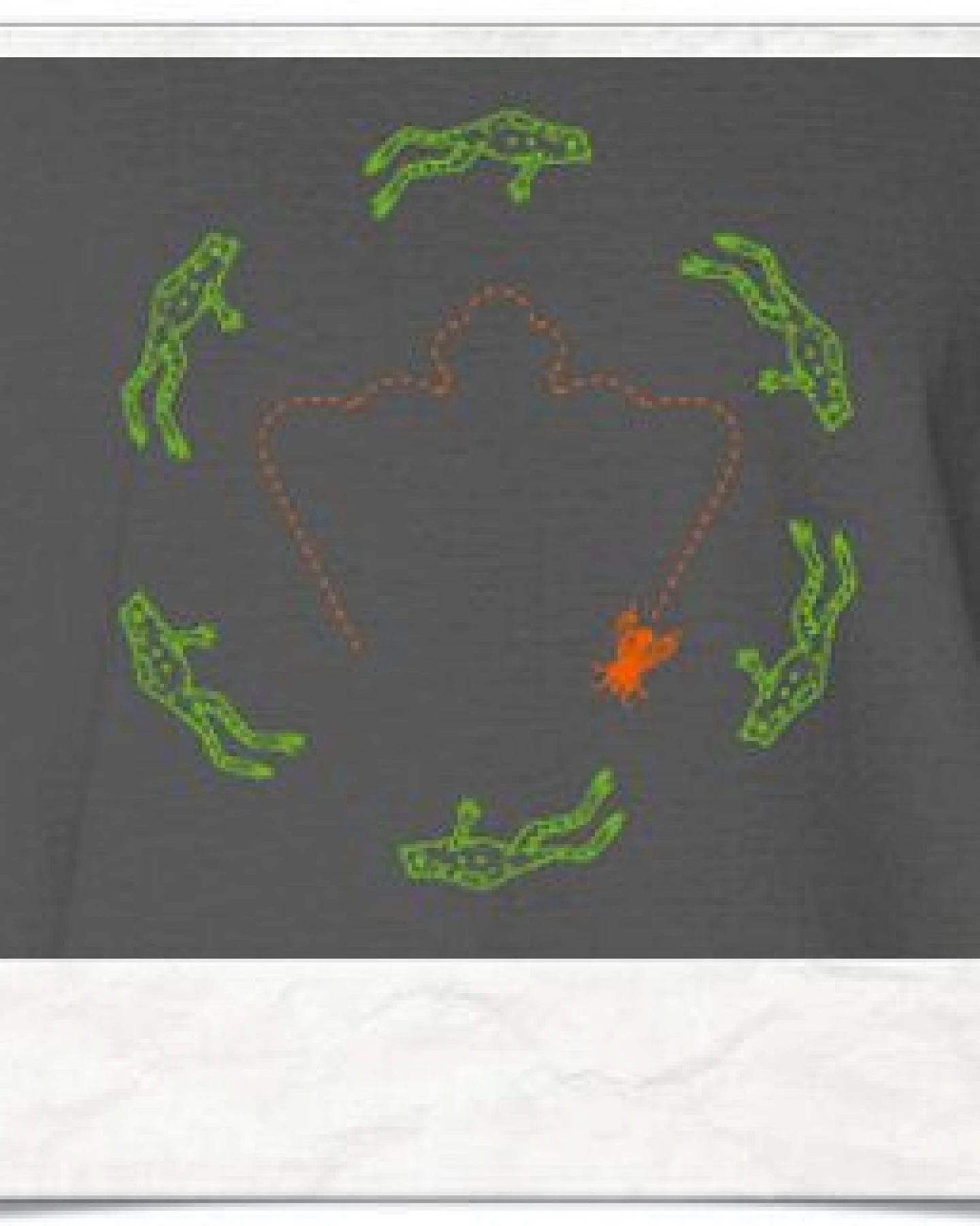 Picopoc >> Flying Frog ;) – Ansicht 2