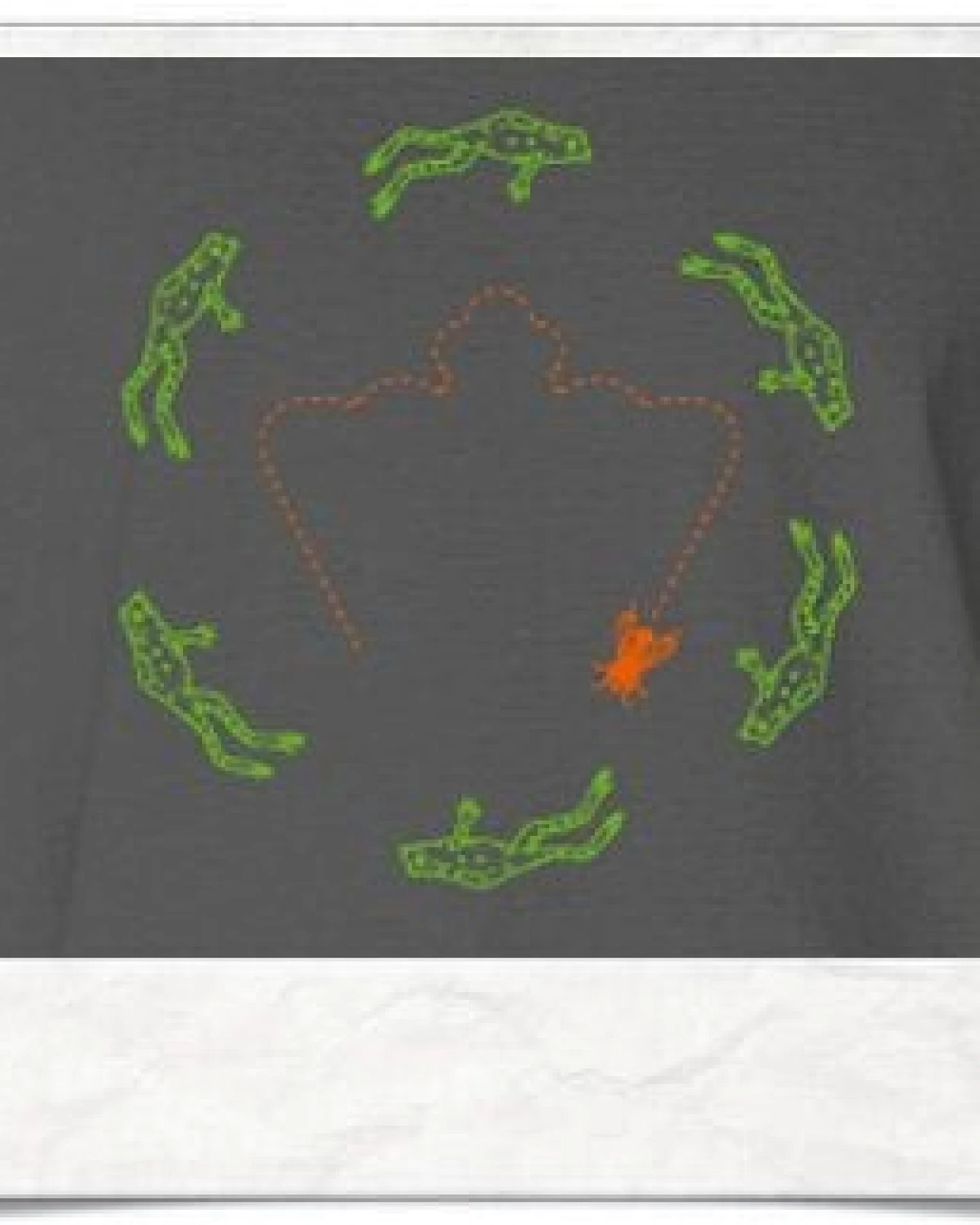Picopoc >> Flying Frog ;) – Ansicht 2