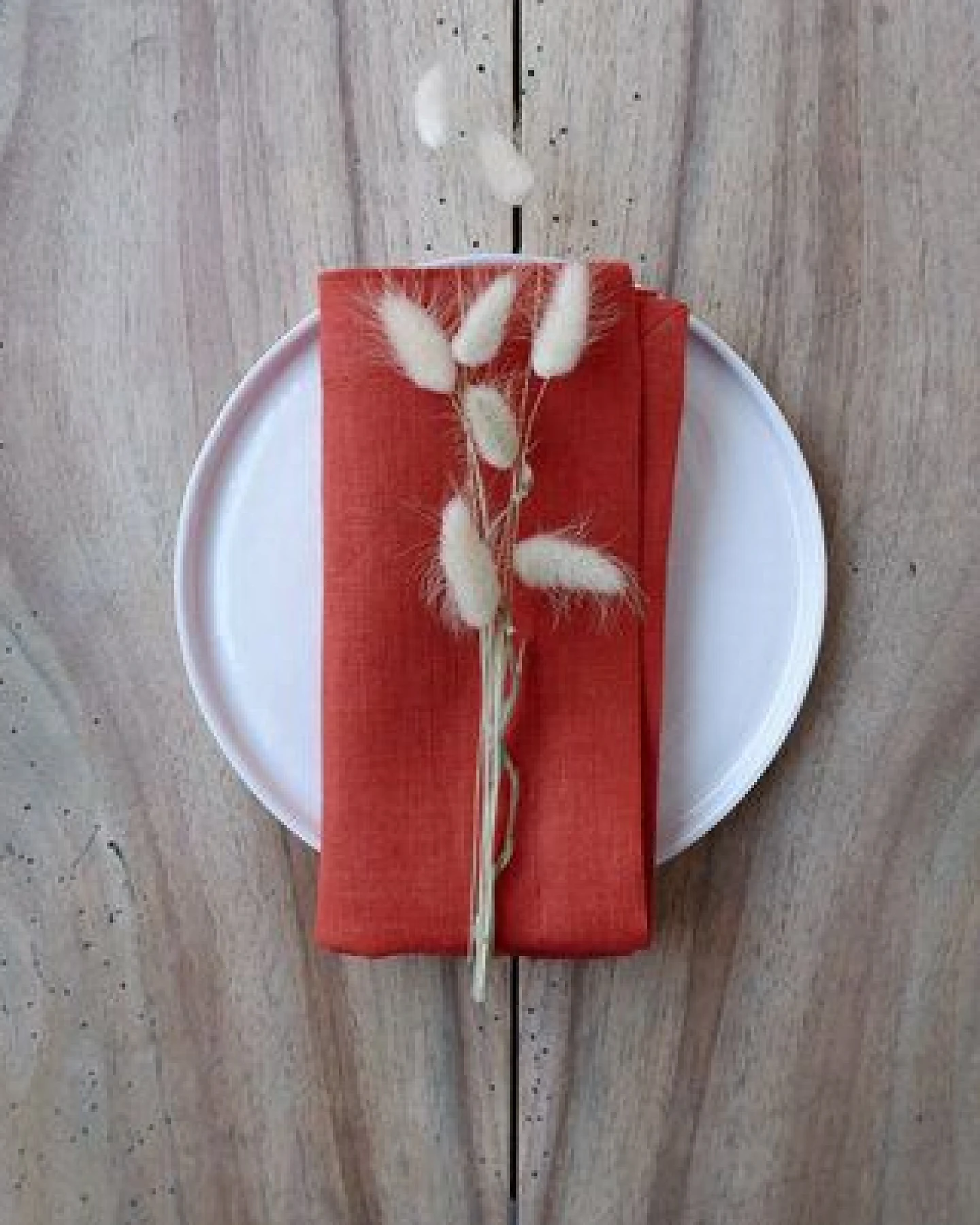 gust. Leinenservietten – Linen napkins – 100% Bio-Leinen – 2er Set – Ansicht 2