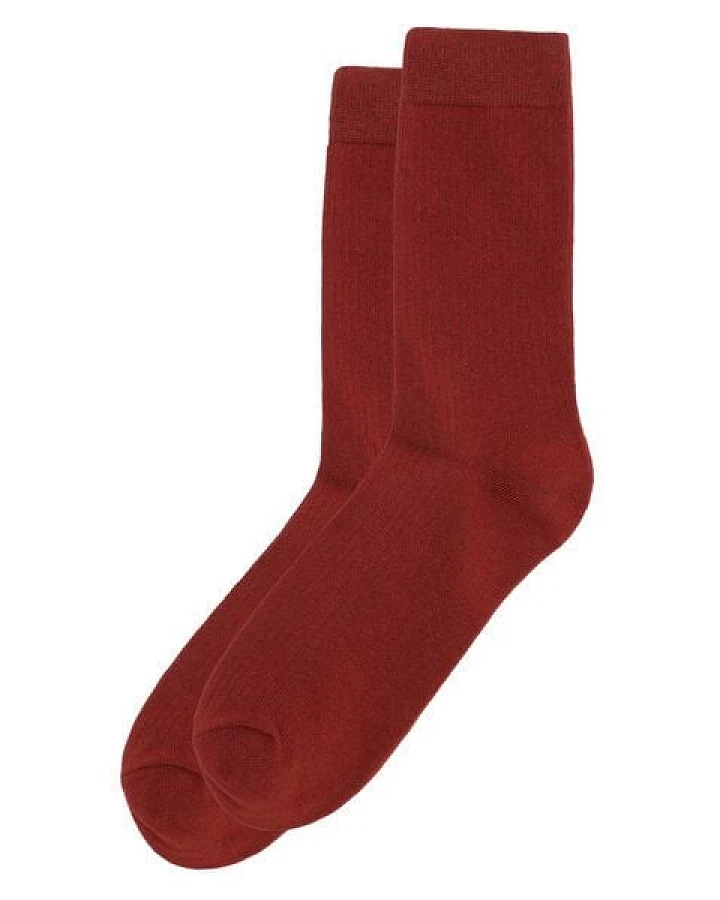 Rot