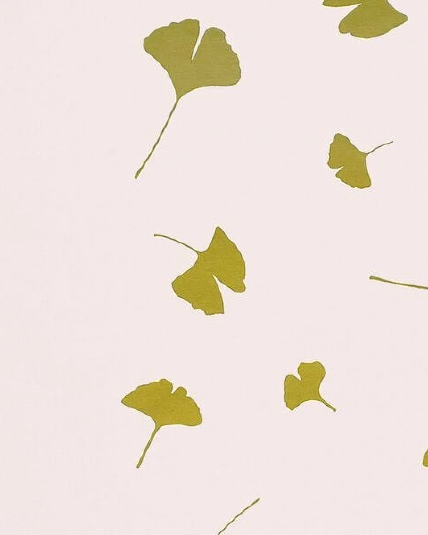 päfjes Blätter Ginkgo Laub - Fair Wear Männer T-Shirt - Vintage White/Olive – Ansicht 2