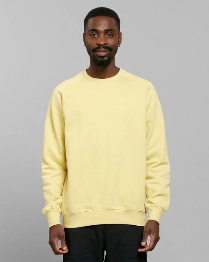 Dedicated Sweatshirt Malmoe Base