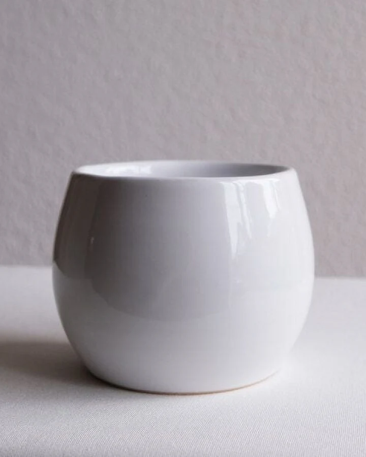 NOE Becher 'Basis'