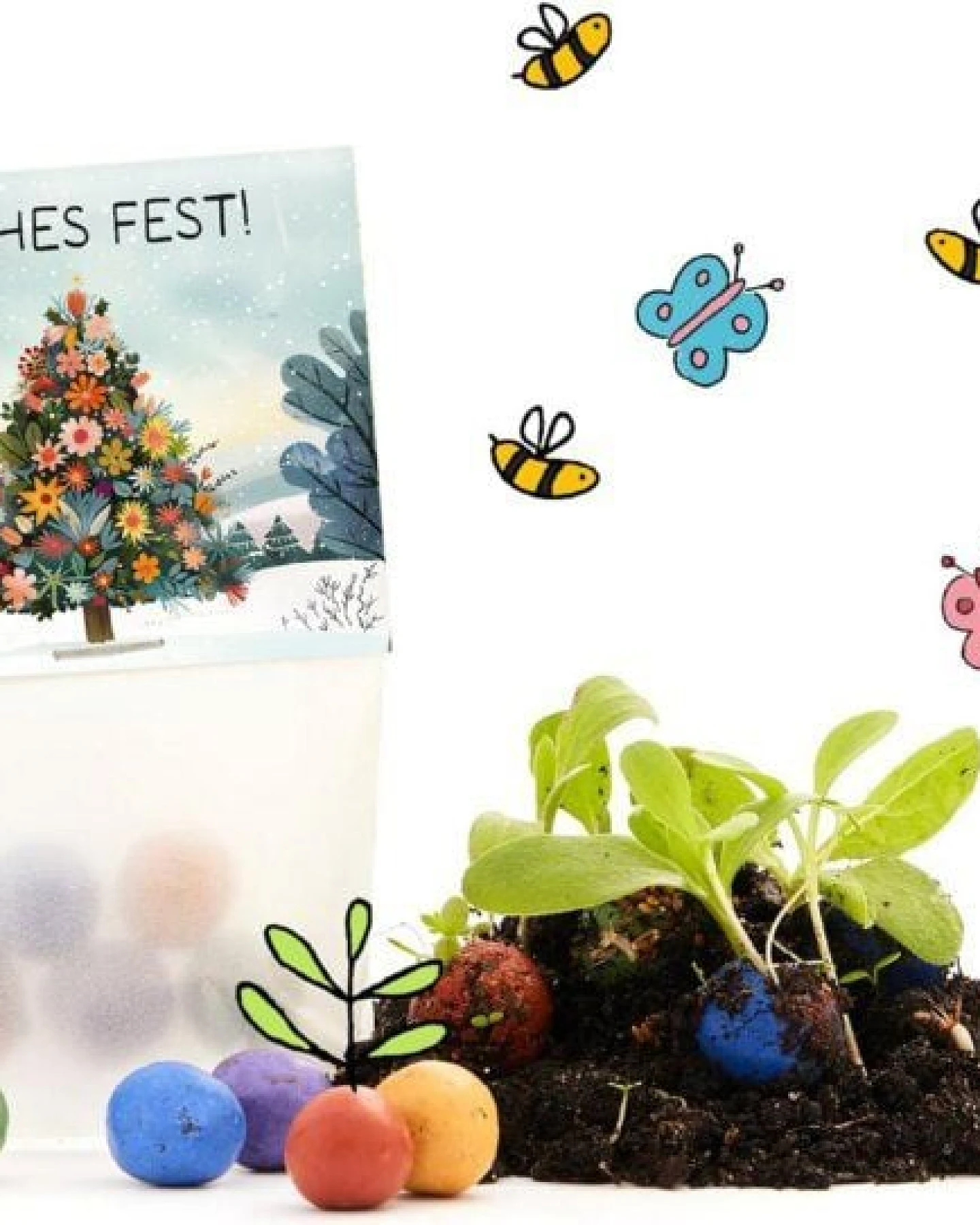 Die Stadtgärtner 10 x 5 Blumenmurmeln "Frohes Fest" – Ansicht 2