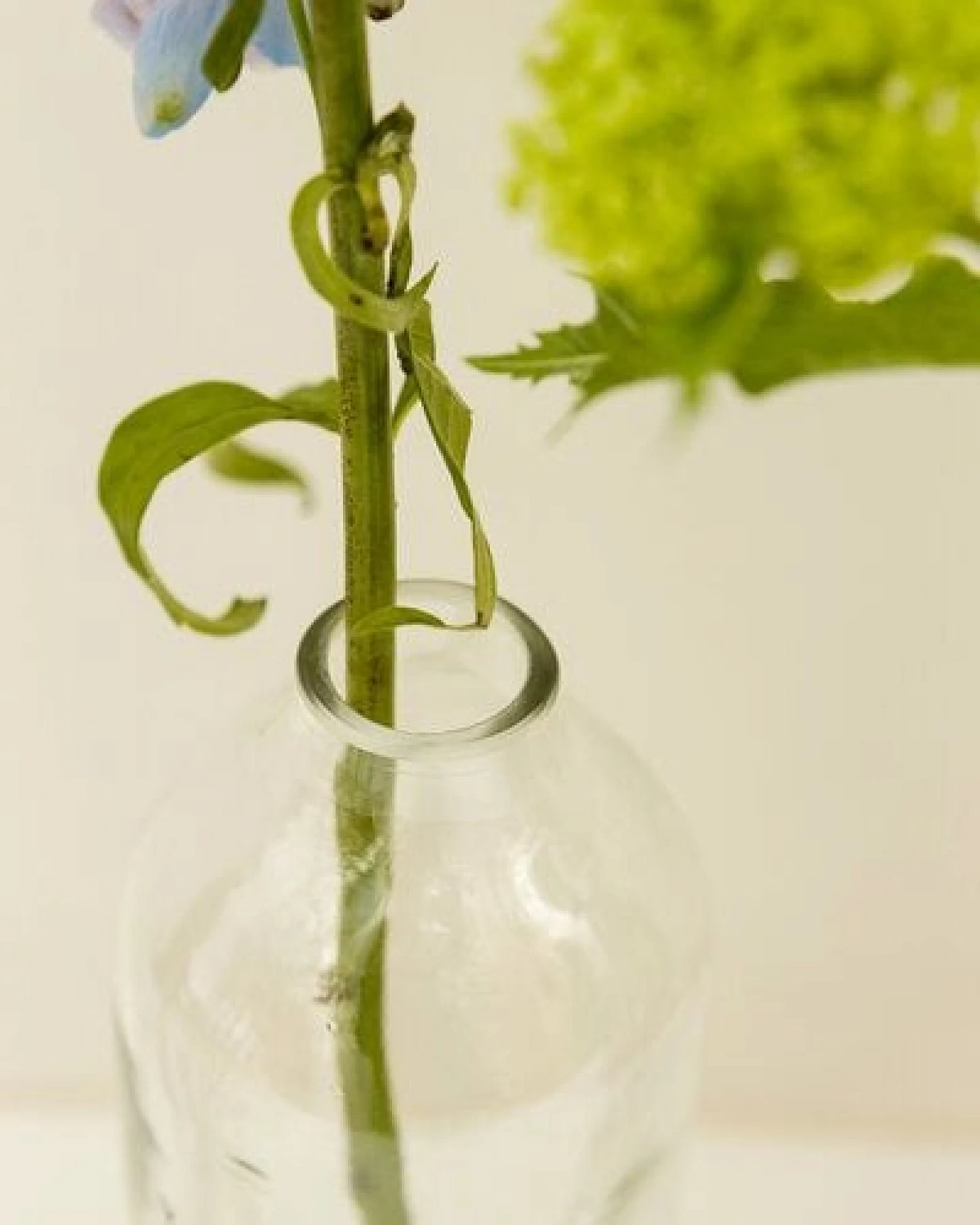 Originalhome Flaschenvase aus recycelten Weinflaschen, – Ansicht 4