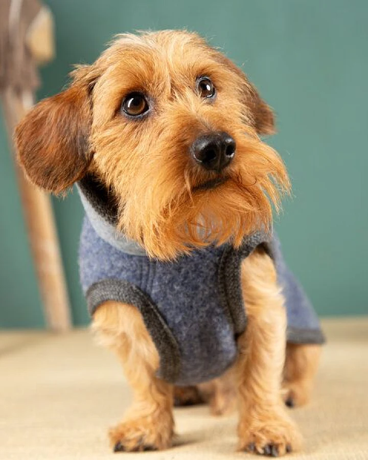 nahtur-design Hundemantel für Dackel