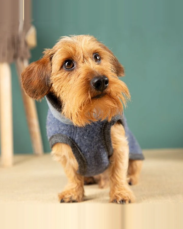 nahtur-design Hundemantel für Dackel