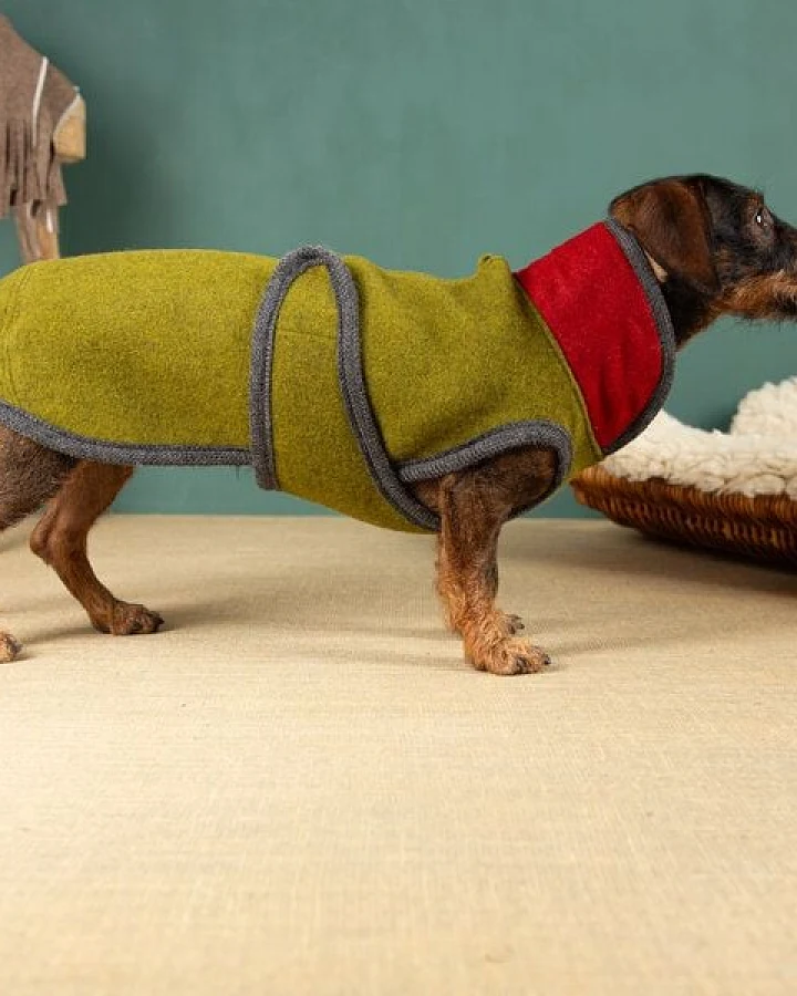 nahtur-design Hundemantel für Dackel