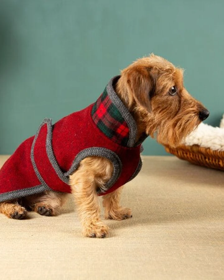 nahtur-design Hundemantel für Dackel