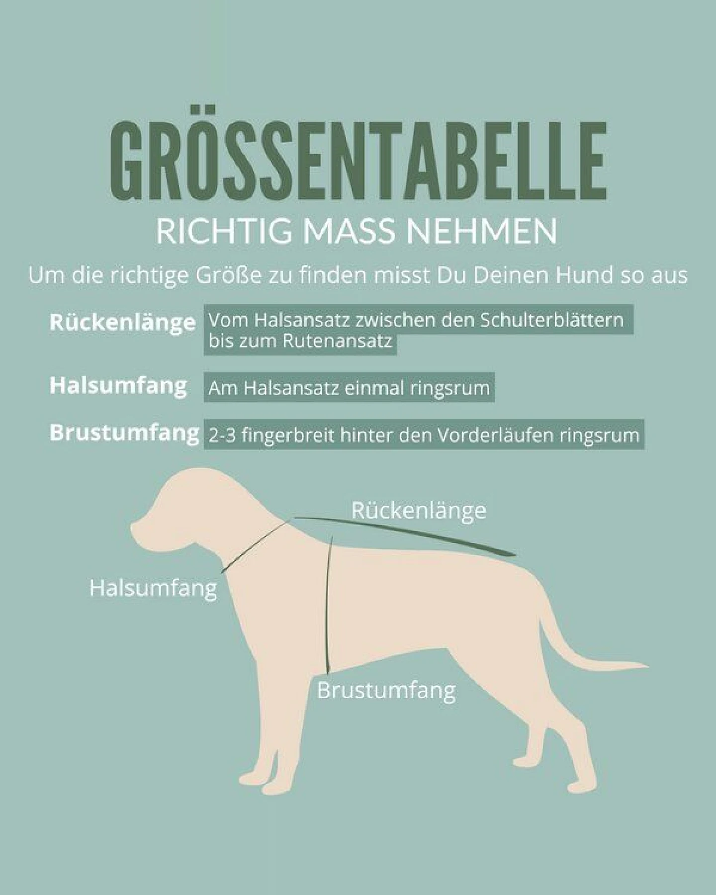 nahtur-design Hundemantel für Dackel – Ansicht 2