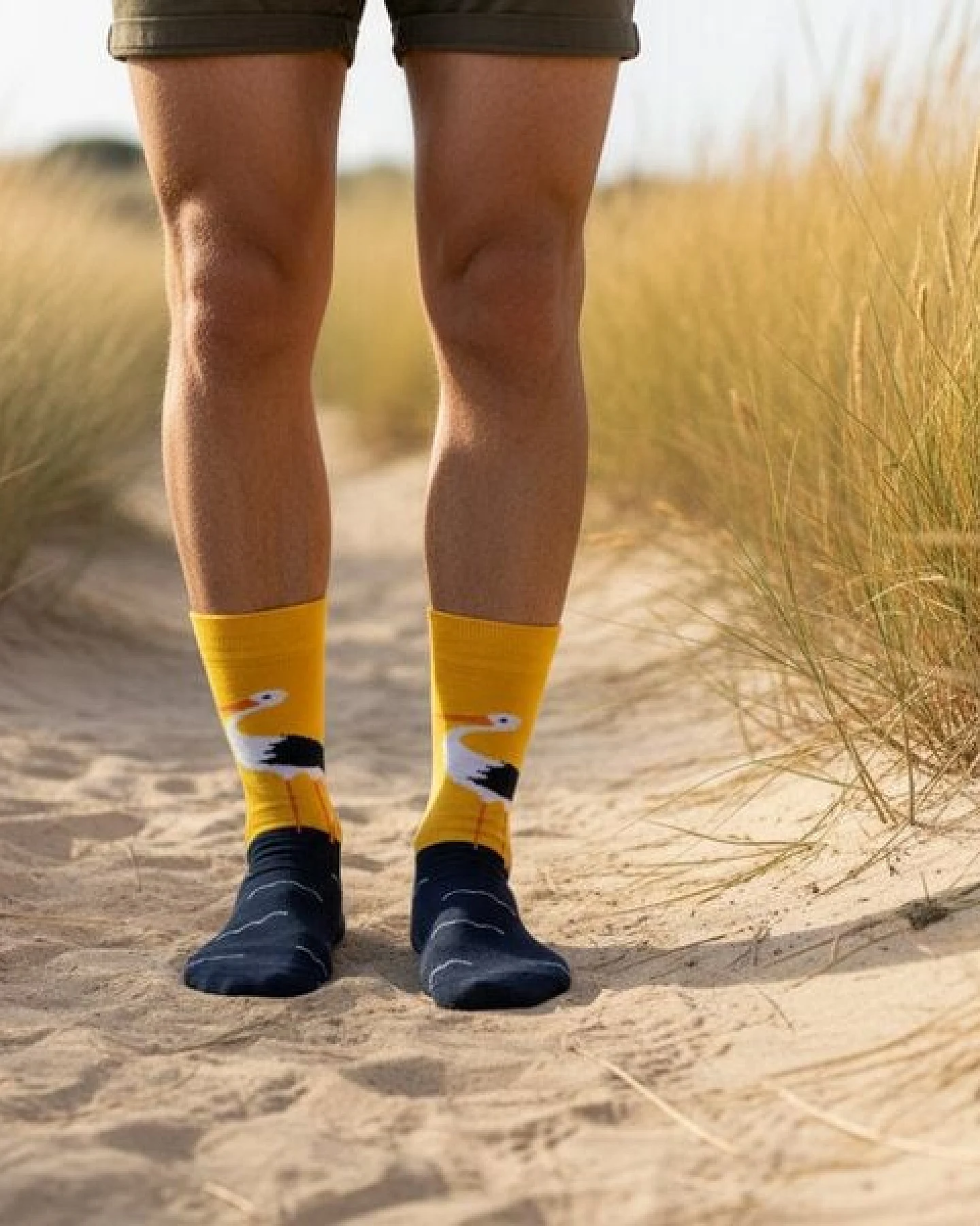 The Arctic Bay Bio-Baumwollsocken 4 Paar – Zora Edition – Doppelfadig, Weich & Bequem – Nachhaltig & Hergestellt in EU – Ansicht 4