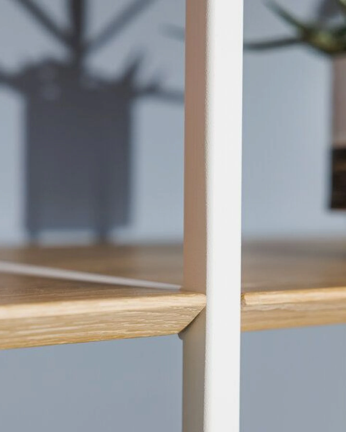 ekomia Regal Wega M – Ansicht 4