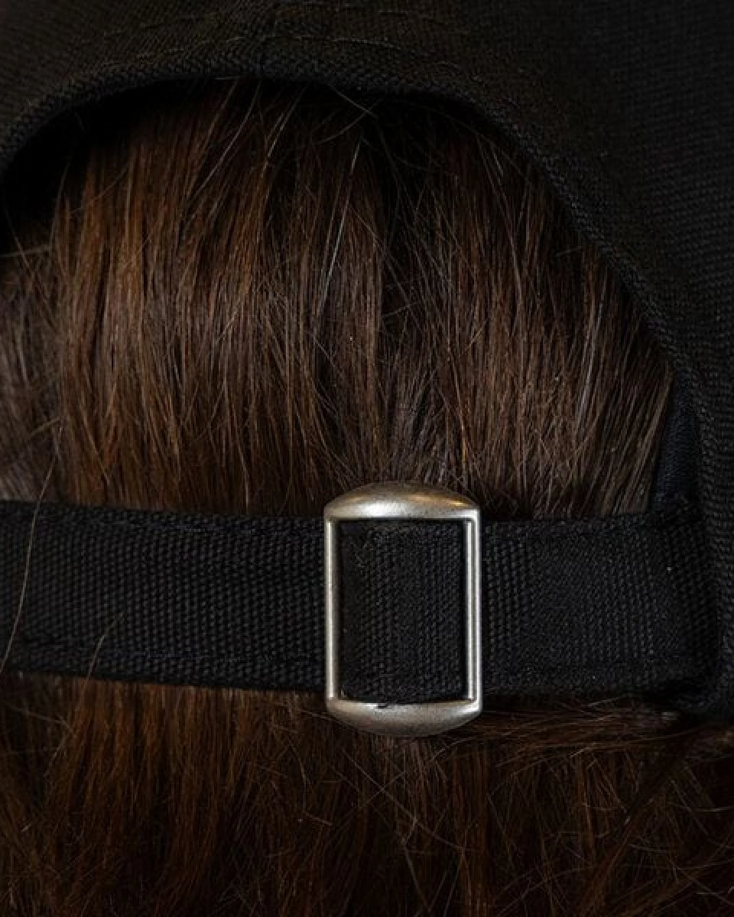 Boldwill [AC95.OC] Baseball Cap – Ansicht 4