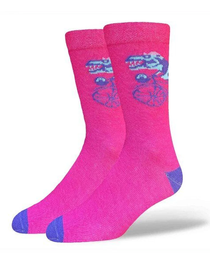 SOXN Kindersocken / Dino / Bio-Baumwolle