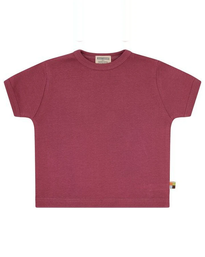Rot