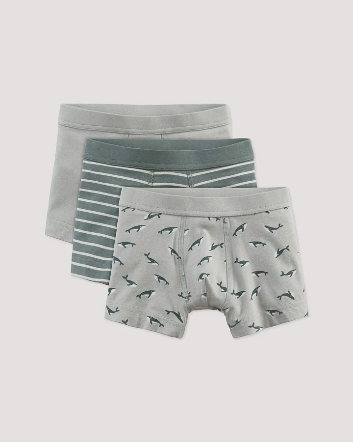 hessnatur Kinder Jungen Pants Regular Cut im 3er-Pack aus Bio-Baumwolle - blau - Größe 110/116