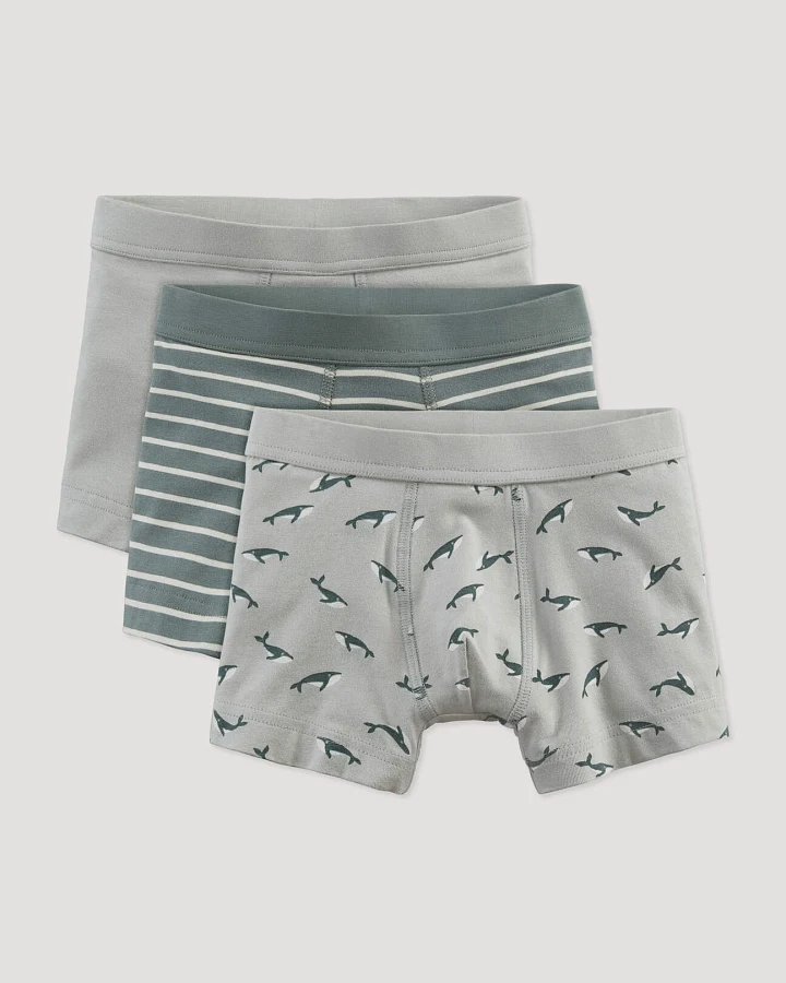 hessnatur Kinder Jungen Pants Regular Cut im 3er-Pack aus Bio-Baumwolle - blau - Größe 110/116