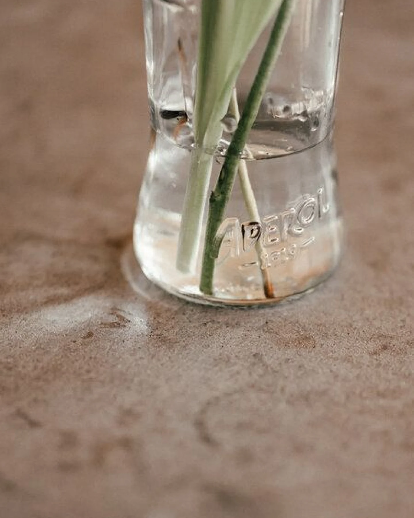 MaBe Aperol Vase - Upcycling - für Blumiges oder als großes Glas – Ansicht 2