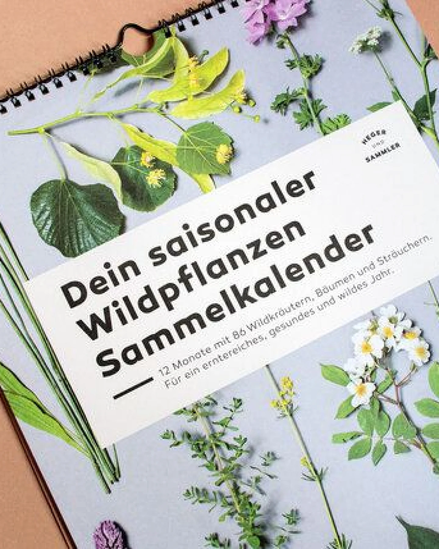 Heger und Sammler Saisonkalender mit Wildkräutern & Bäumen – Ansicht 3